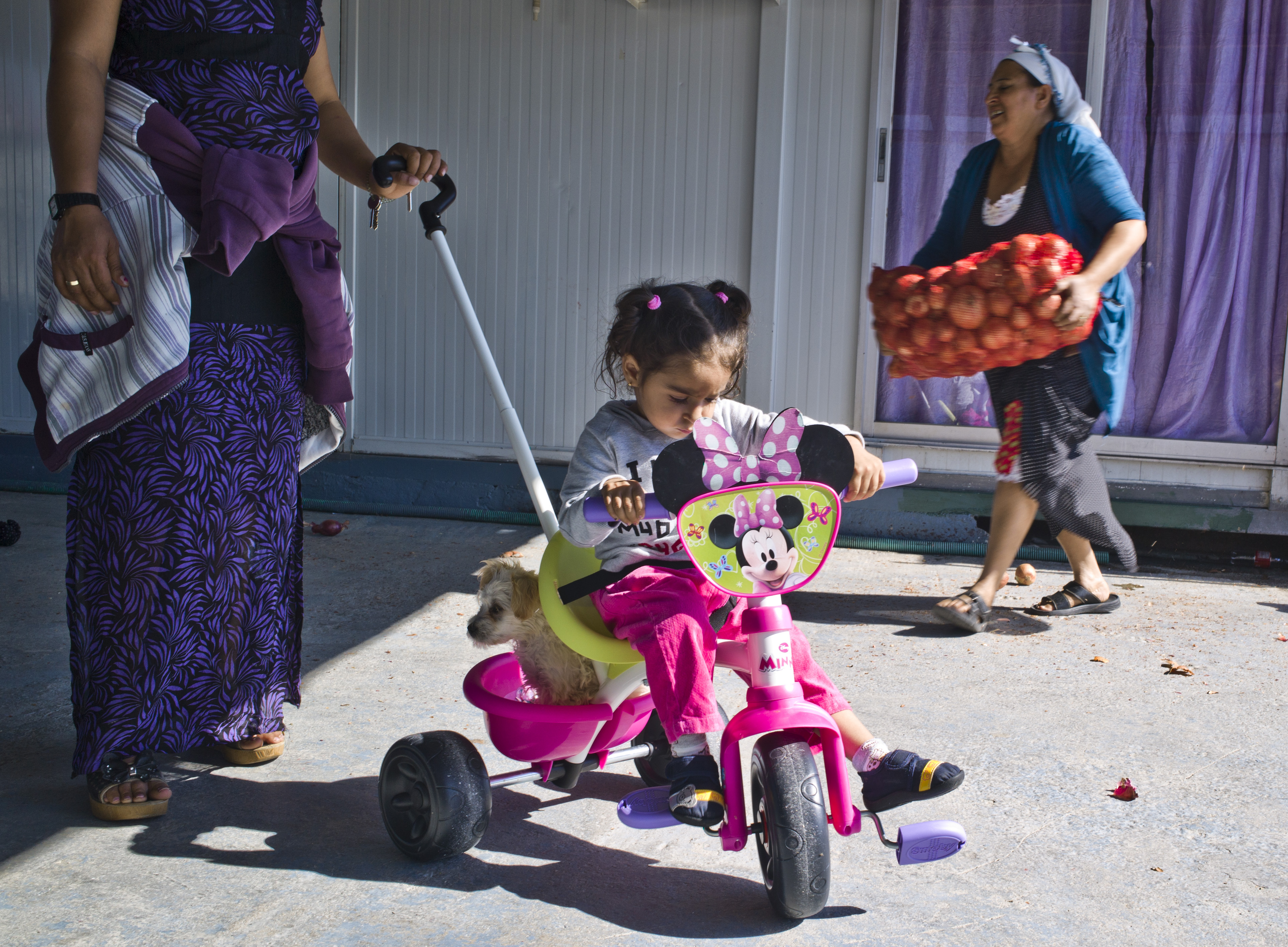 alert; camp; farsala; Greek crisis; gypsy; missing children; poverty; Roma; slum; squater; thessaly; Ρομά; Φάρσαλα; καταυλισμός; συνοικισμός; τσιγγάνοι; τσιγγάνος