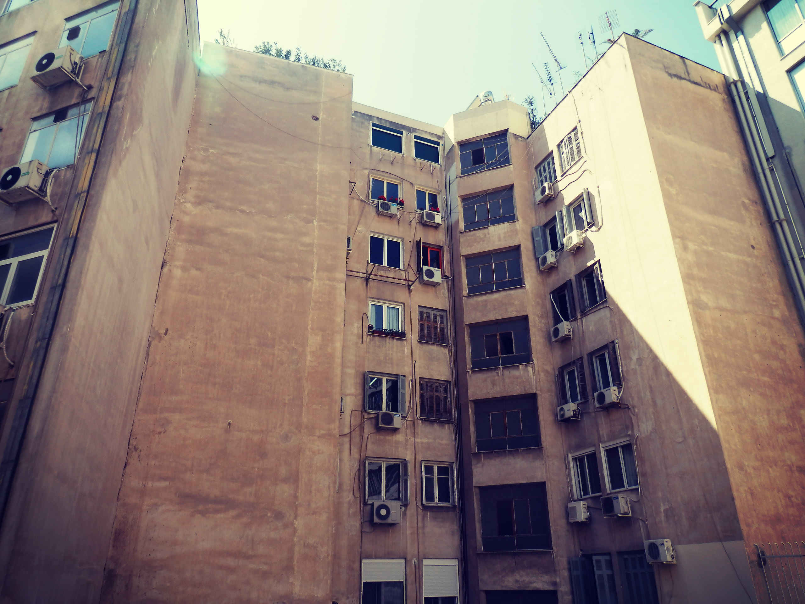 OLYMPUS DIGITAL CAMERA