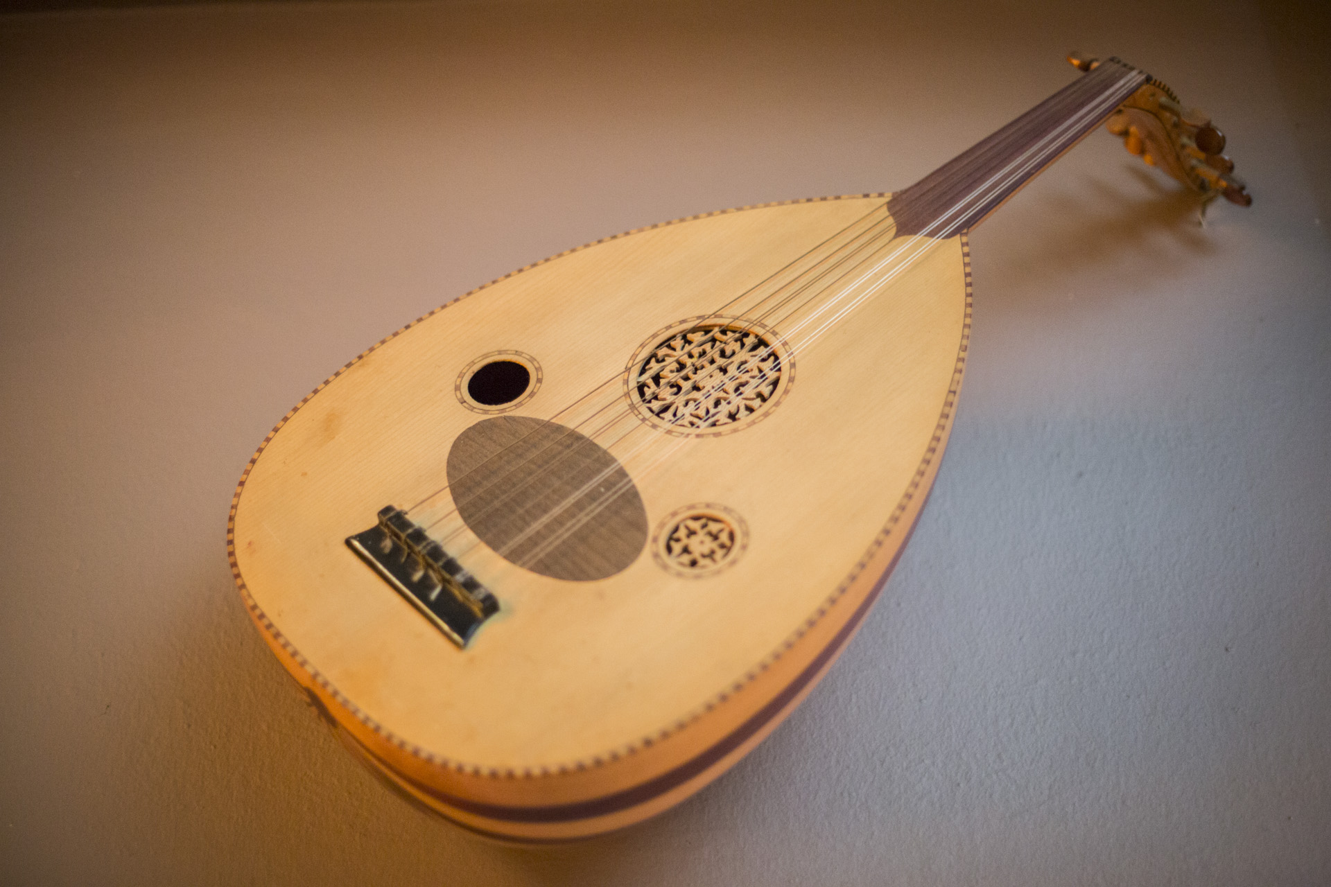 kaminia(12)