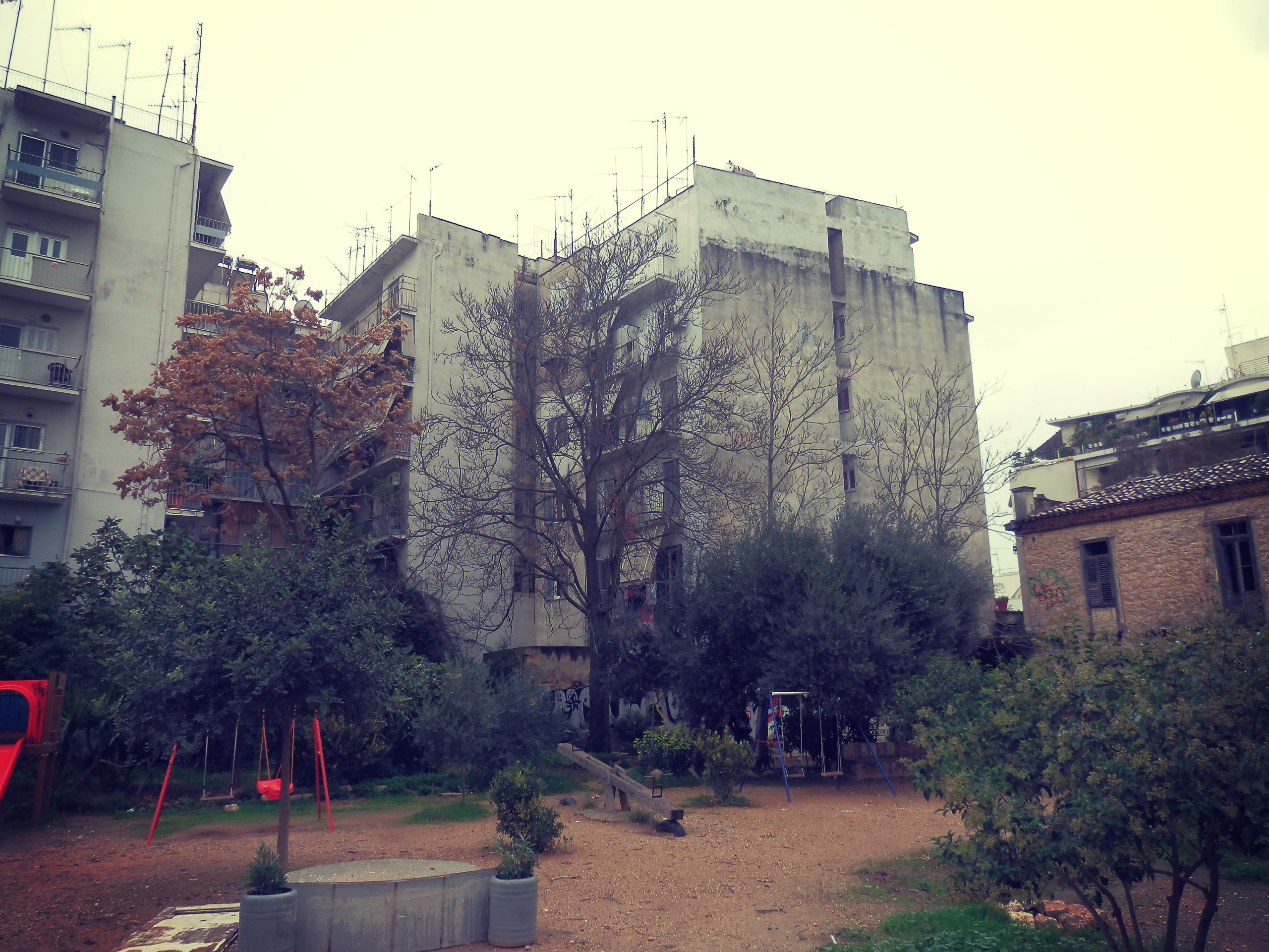 OLYMPUS DIGITAL CAMERA