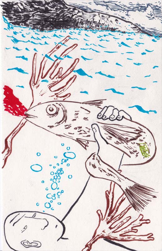 it'sOKtoeatfish