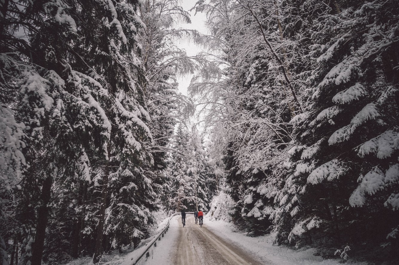 Festive500-35-1335x889