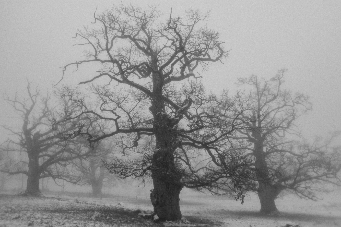 Festive500-39-1335x889