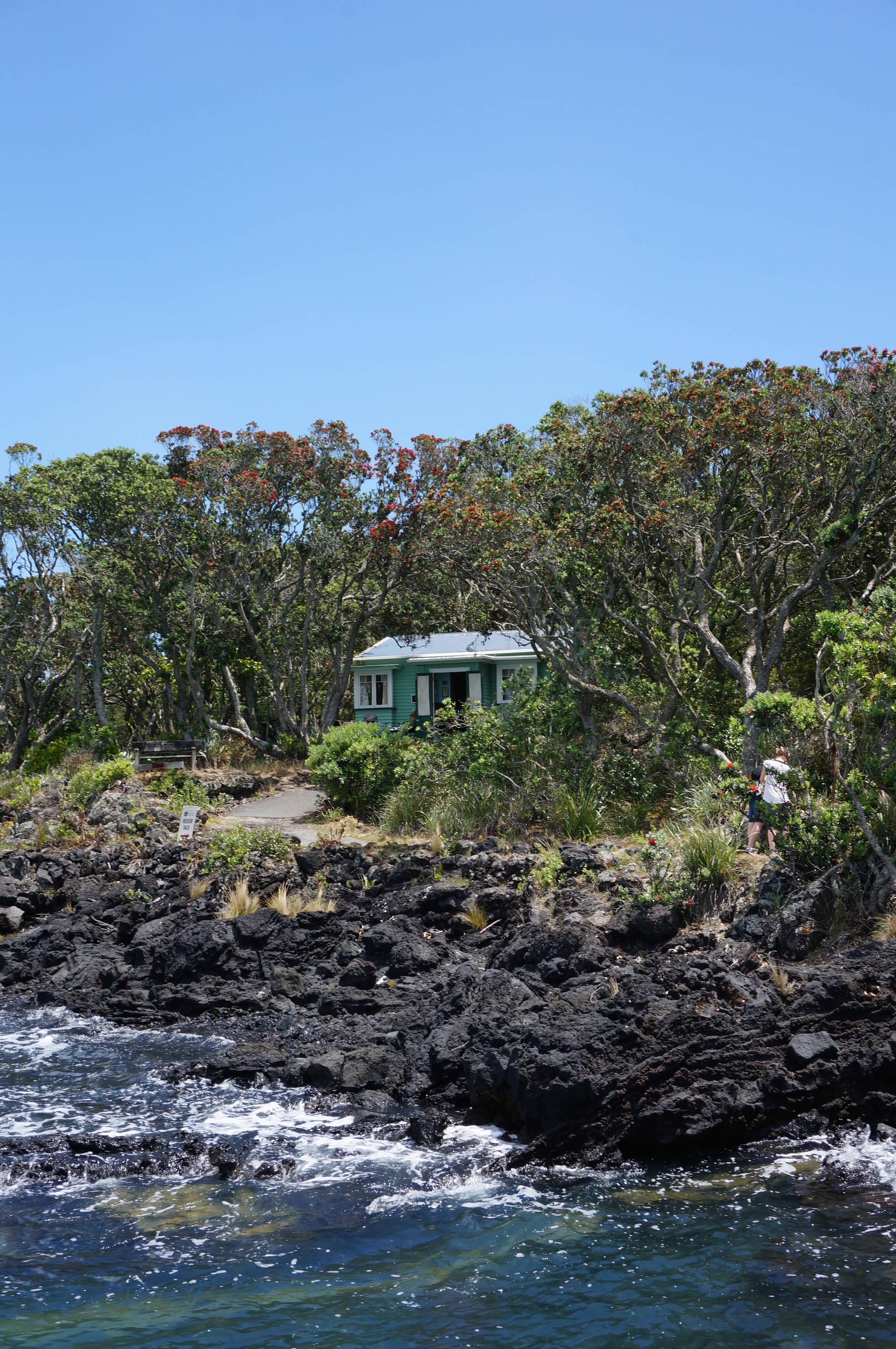 Rangigoto Island