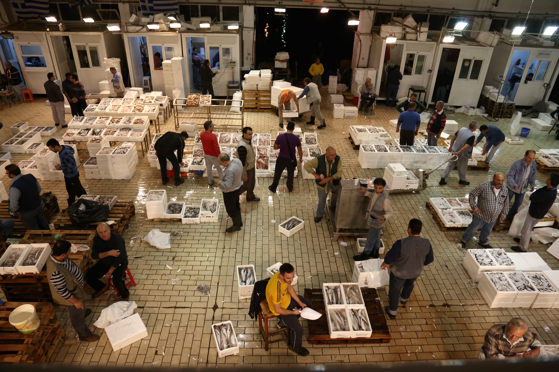 alexandros_katsis_keratsini_ixthioskala_05_20141014