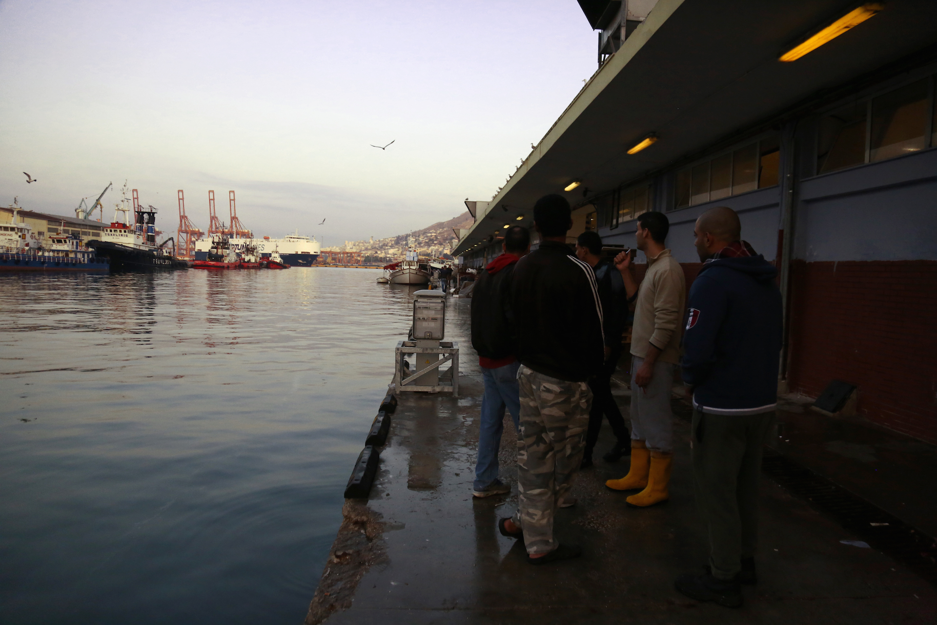 alexandros_katsis_keratsini_ixthioskala_17_20141014