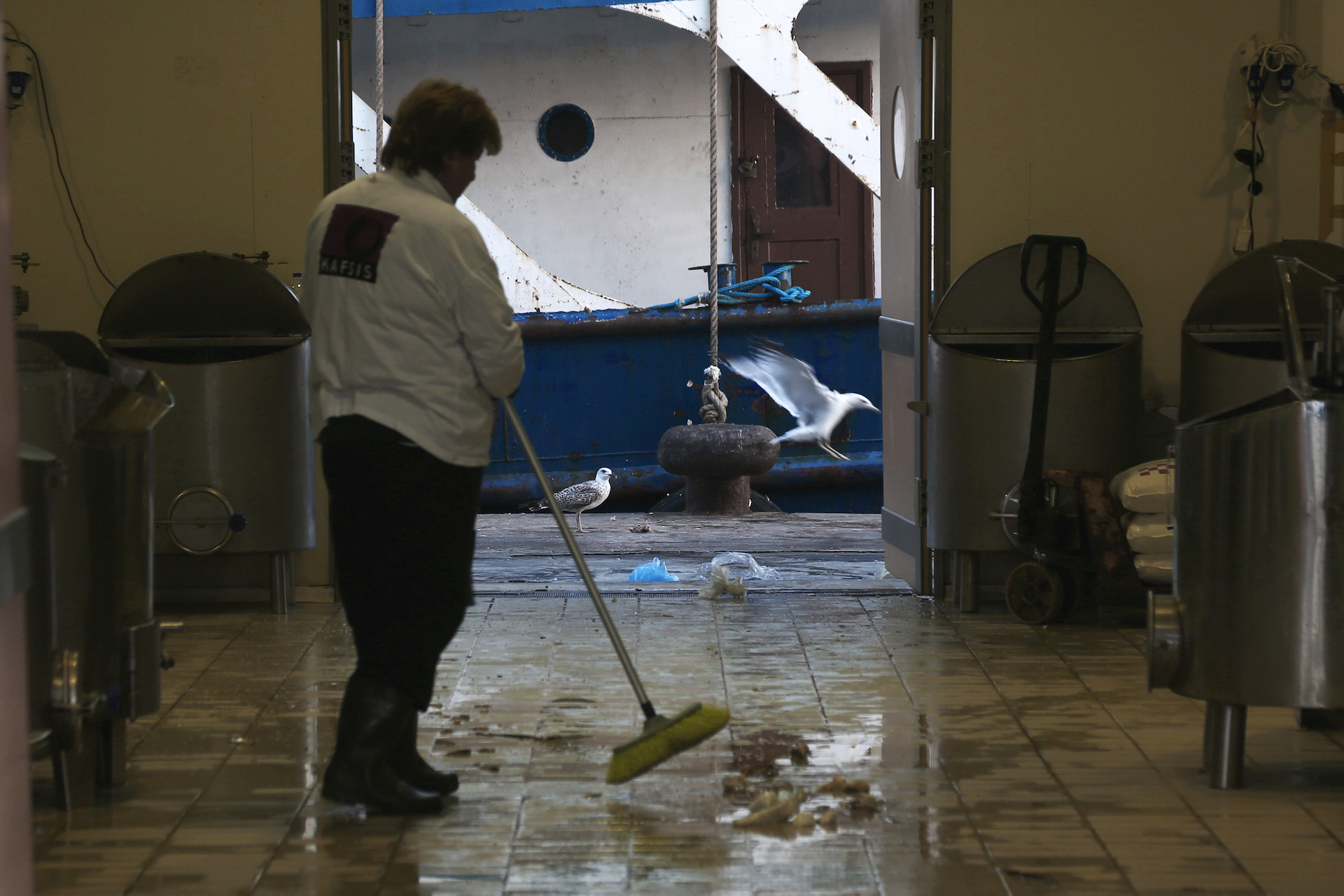 alexandros_katsis_keratsini_ixthioskala_19_20141014