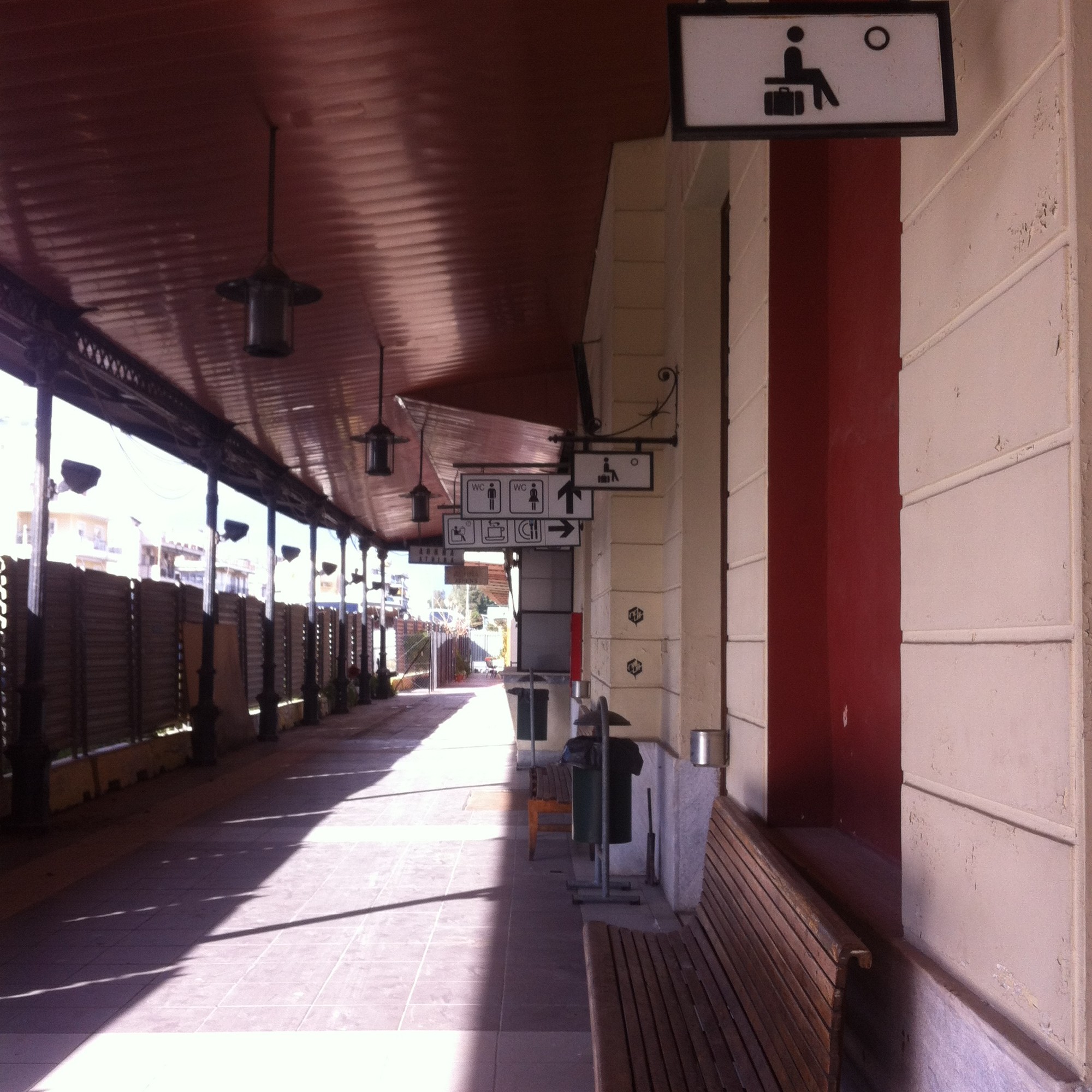 photo 1 (2)