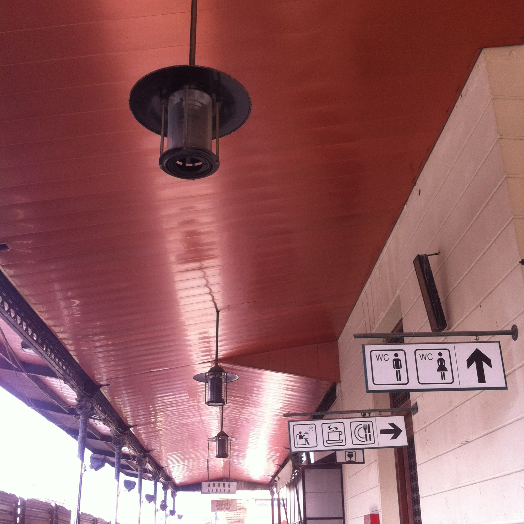 photo 2 (1)