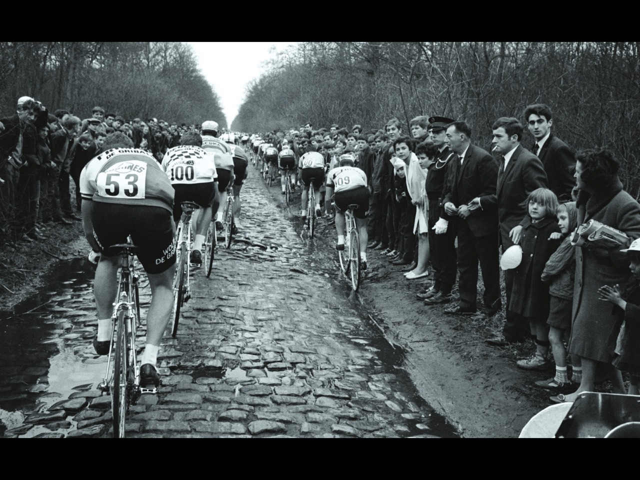 vintage roubaix