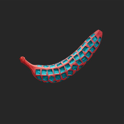popaganda_shakala3