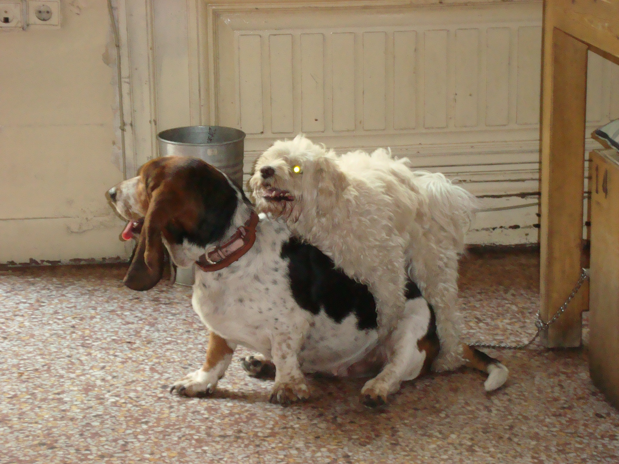 Η Τζουτζούκα κι ο εραστής της