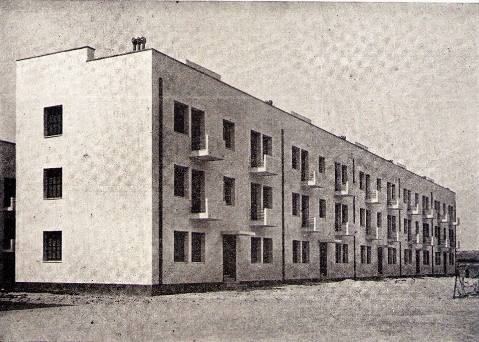 11944959_10153608993449490_762539815_n