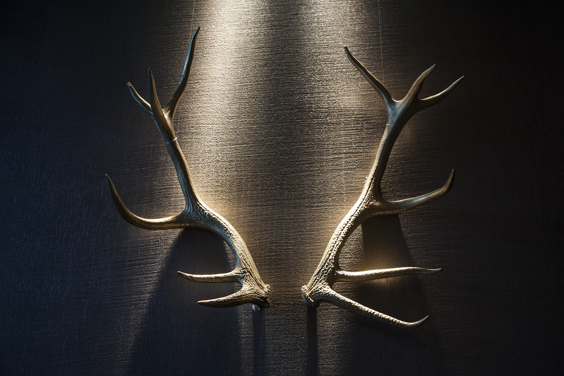 The Famous Chef Aris Vezenes,December 2014