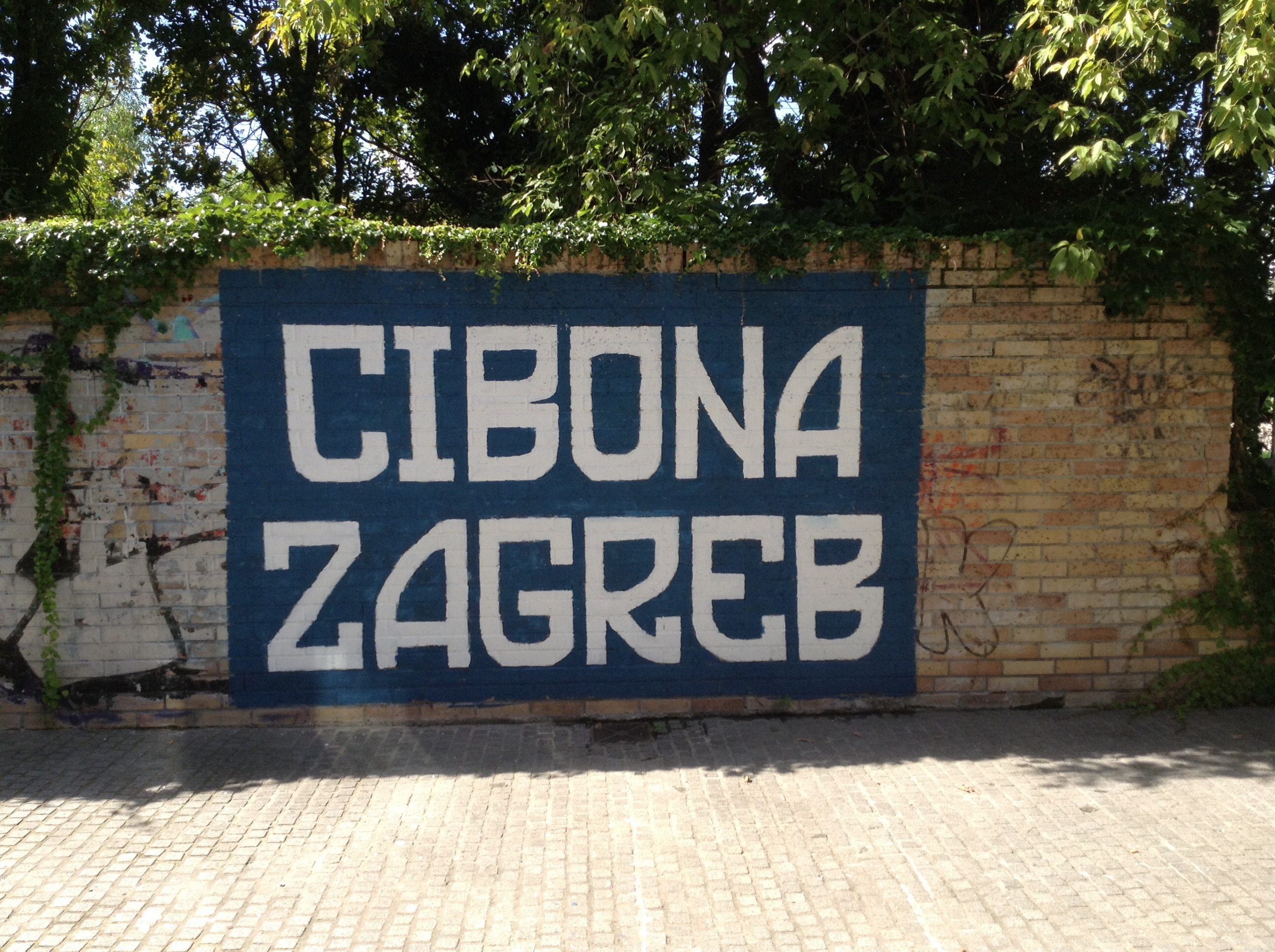 image_00008