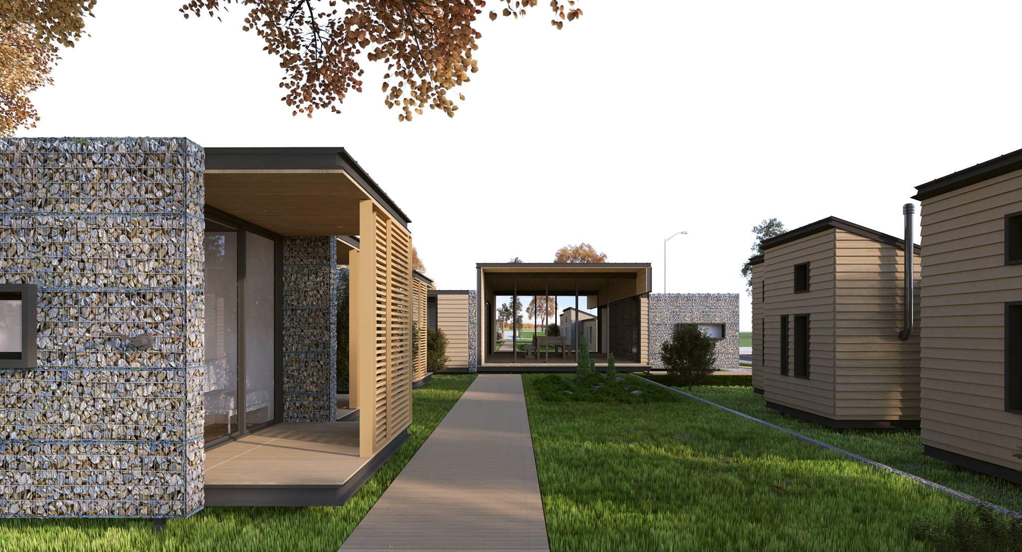 12162198_965915703451272_1545206169_o