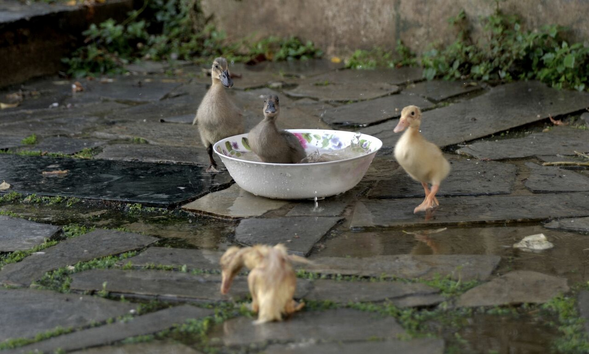 Katrin Woelger_IrinaVosgerau (7)