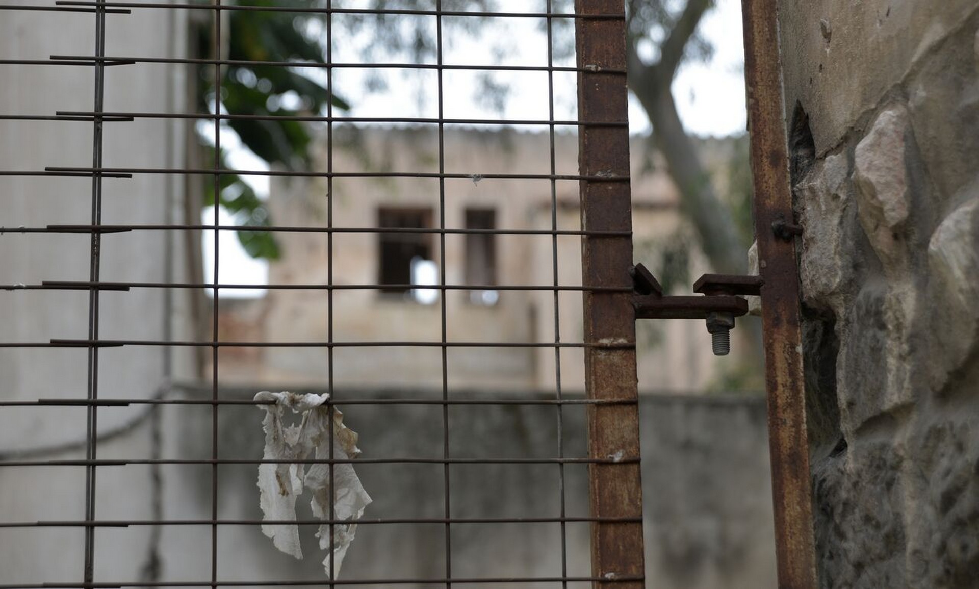 RobMcNeil_IrinaVosgerau (3)