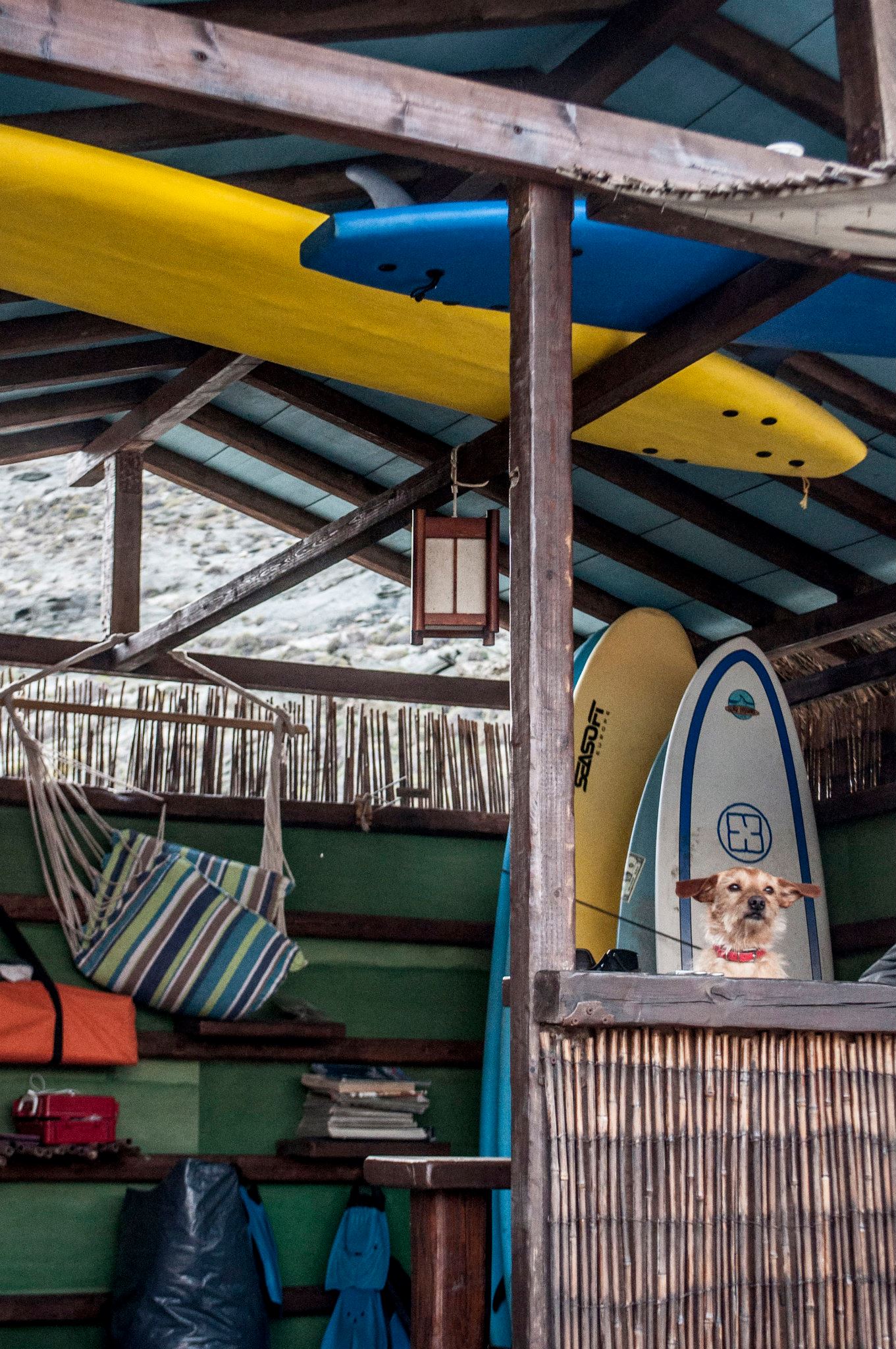 YES__island_culture_tinos_4