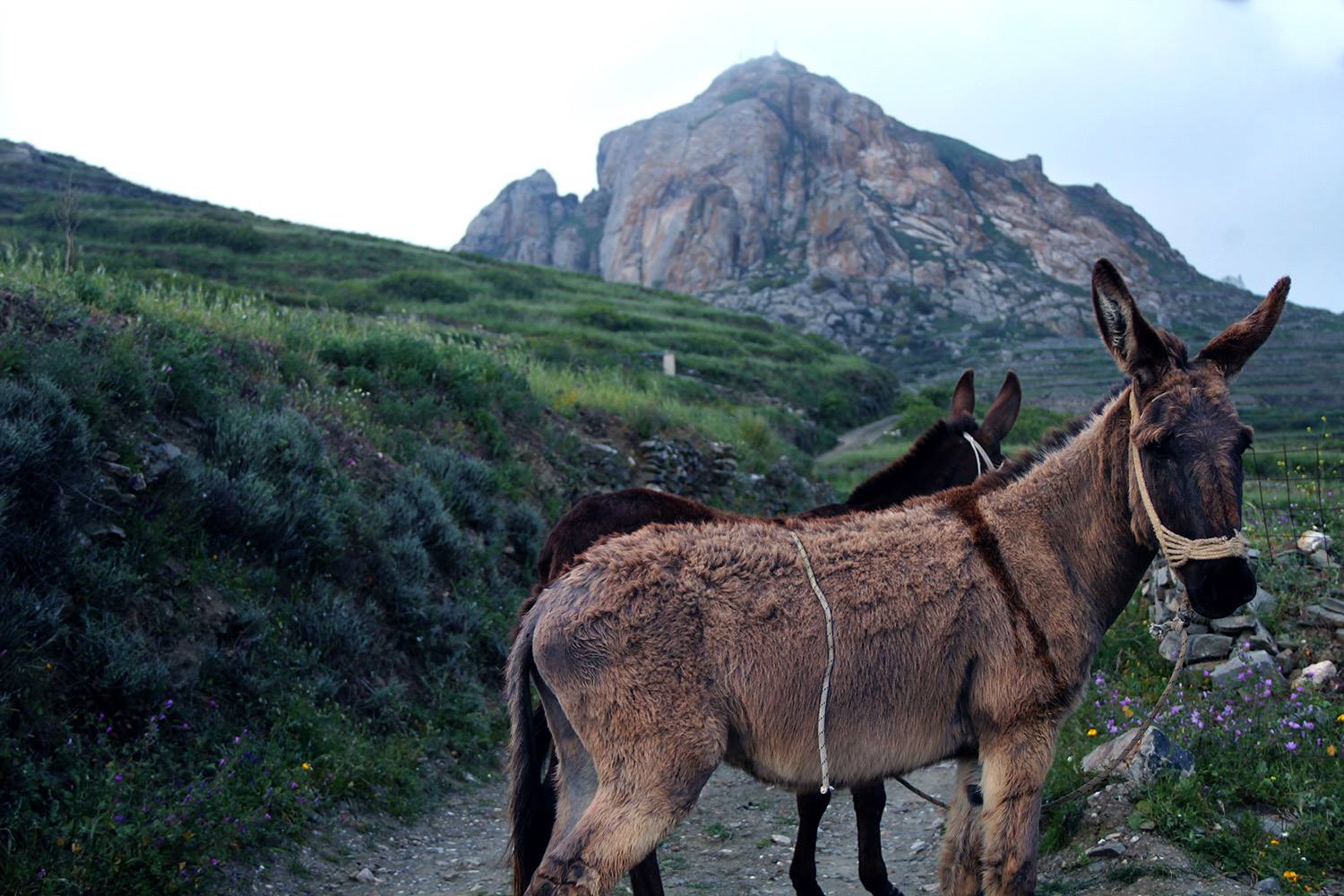 __island_culture_tinos_1