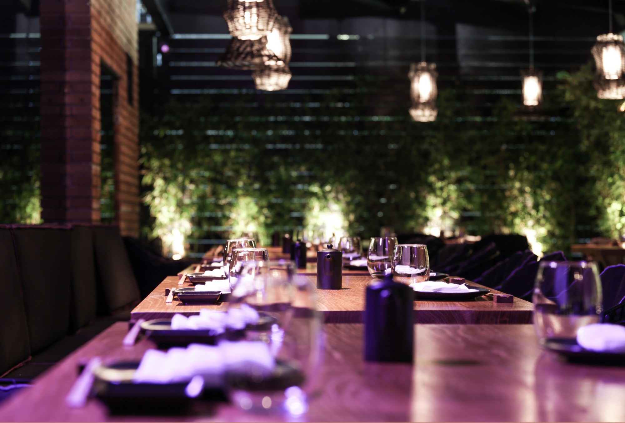 Kiku Next Generation του Ψυχικού