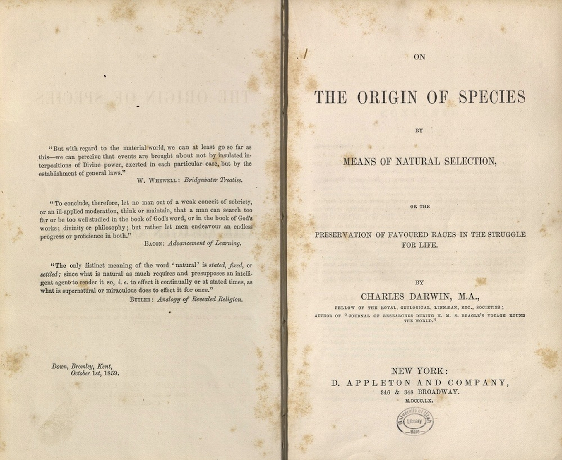 The origin of species. Книга происхождение видов Чарльз Дарвин первое издание. Книга Чарльза Дарвина 1859 года. Происхождение видов 1859. Обложка книги Дарвина происхождение видов.