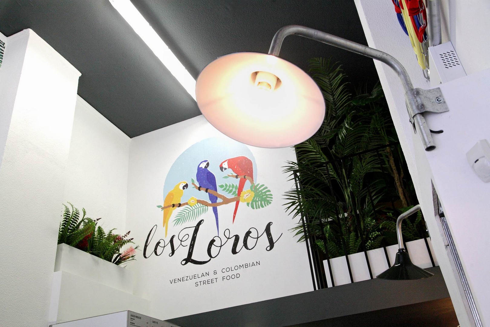 popaganda_09_losloros_18