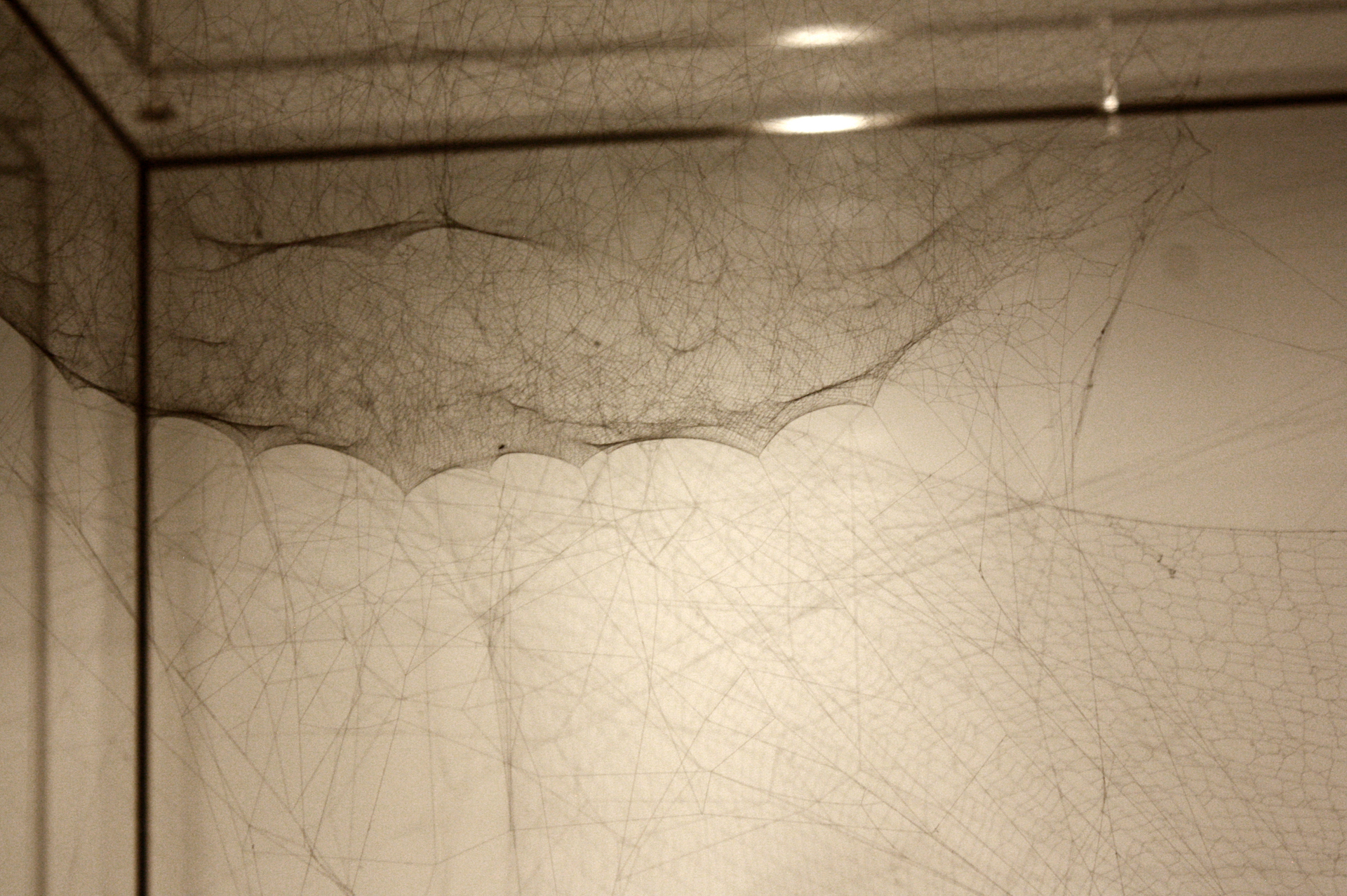 02_spidernauts02