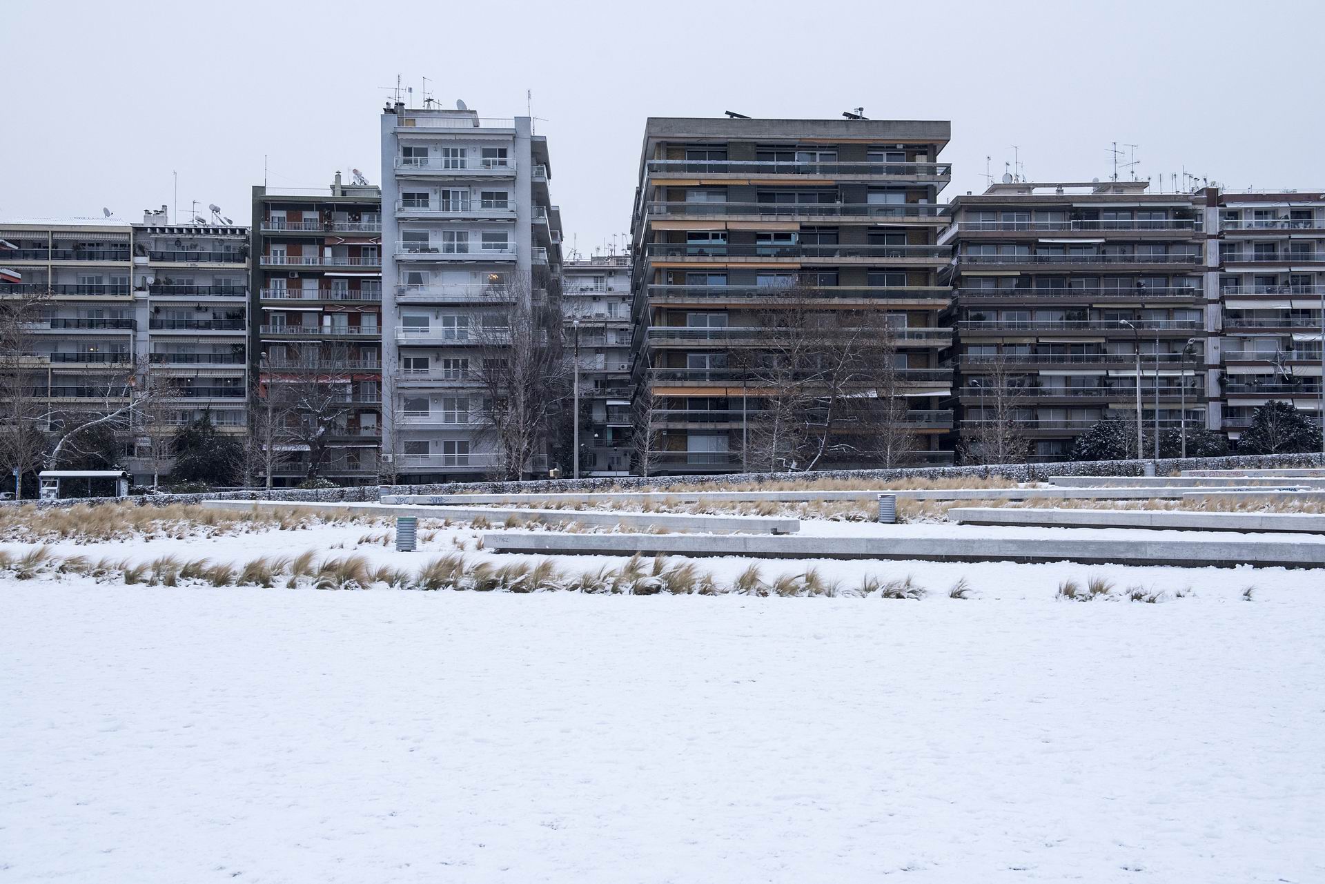 dsc_0929