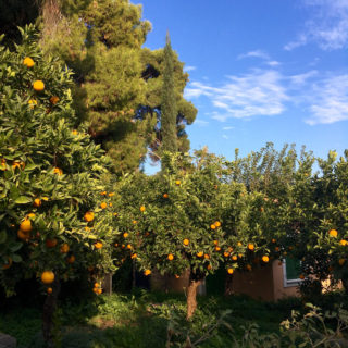 Η συγκατοίκηση