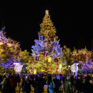 Φυσικό ή τεχνητό χριστουγεννιάτικο δέντρο;