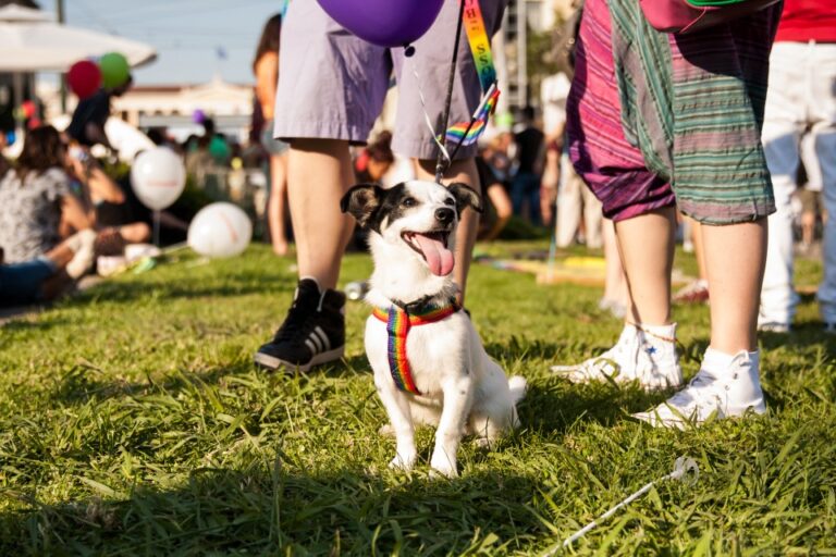 Athens Pride