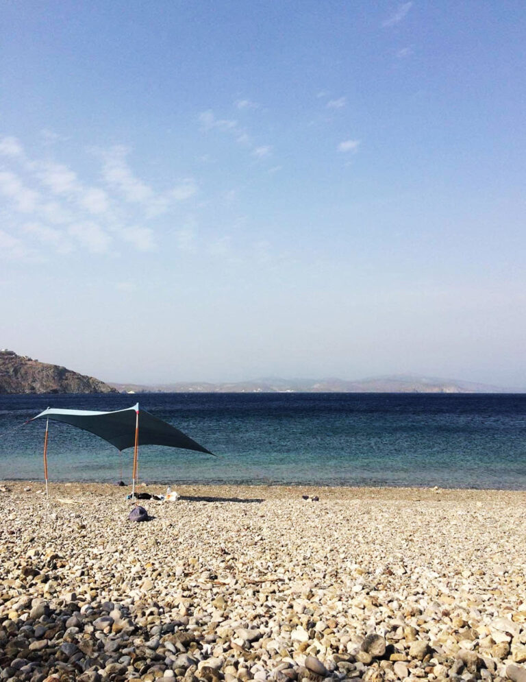 Σαλής Αστυπάλαια