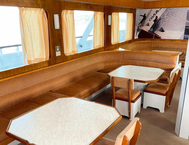 Bearly Boat Cruise
