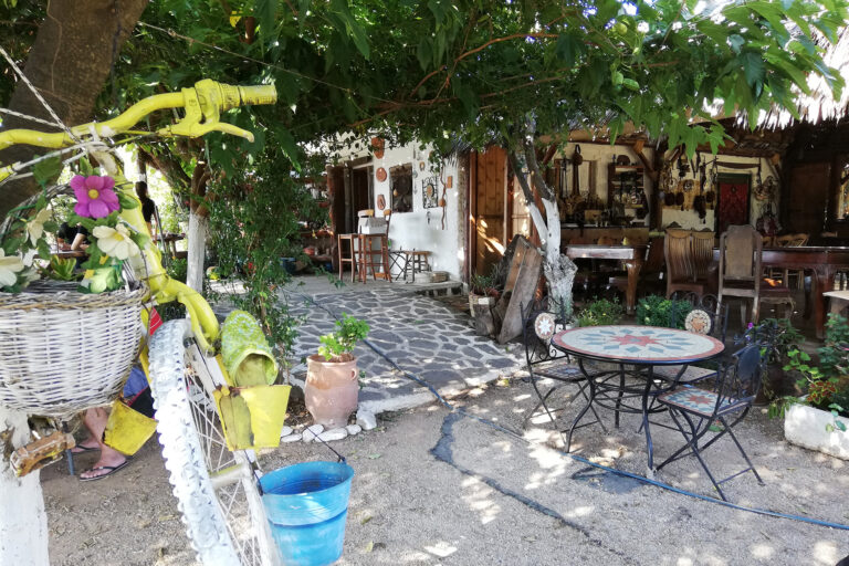 Ο κήπος τση Φροσύνης