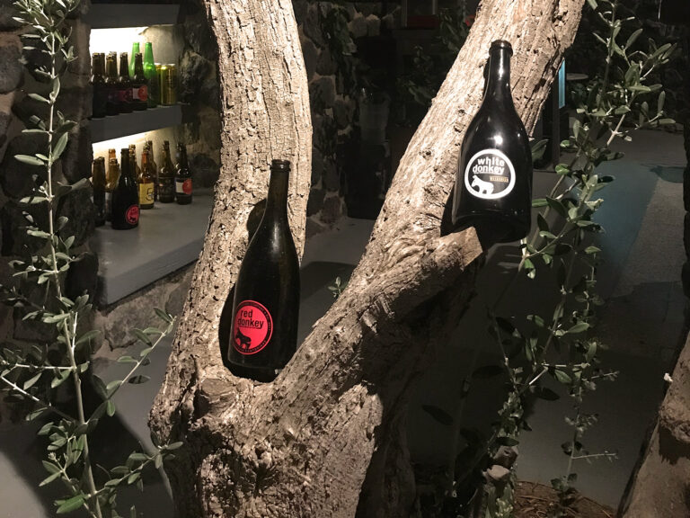 Assyrtico Beer Garden