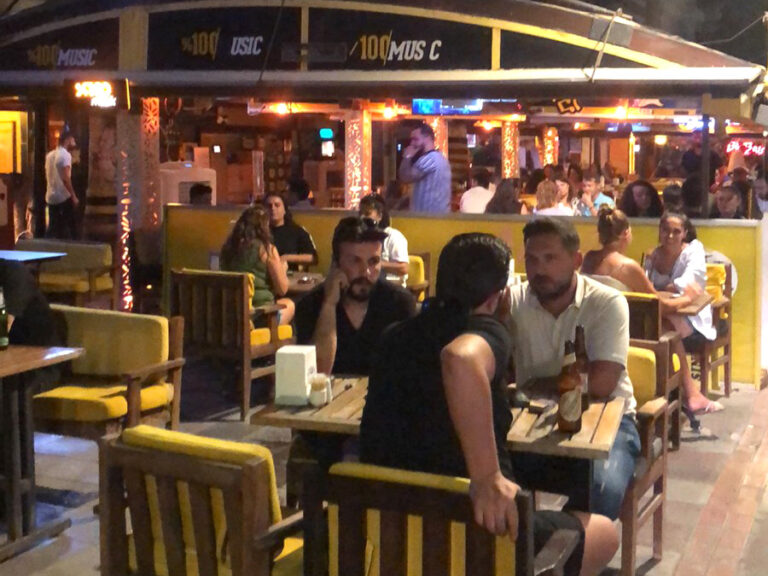 Μικρασιατικά παράλια (το ερντογανικό «Turkaegean»)