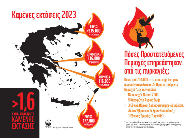 Πυρκαγιές Πυροσβεστικό Σώμα