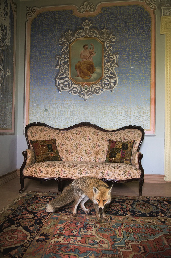 Thessaloniki PhotoBiennale 2023