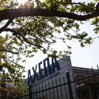 Ζευγάρι έφαγε μανιτάρια και νοσηλεύεται στο ΑΧΕΠΑ με οξεία ηπατική ανεπάρκεια