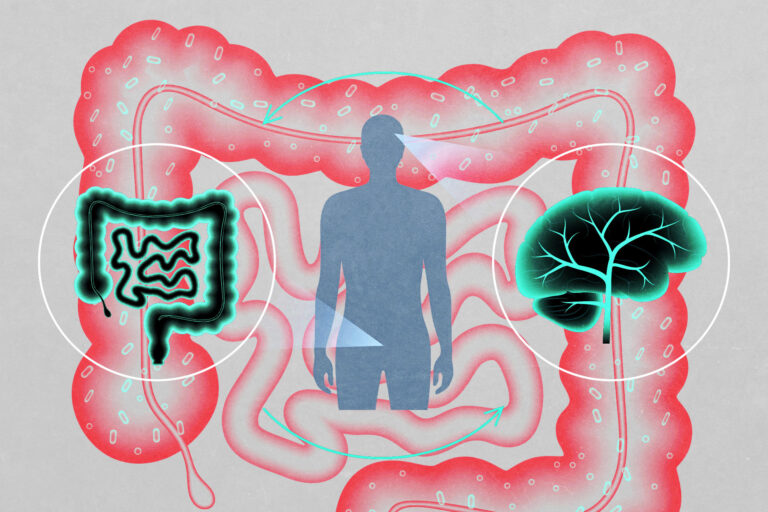 Μικροβίωμα του εντέρου: