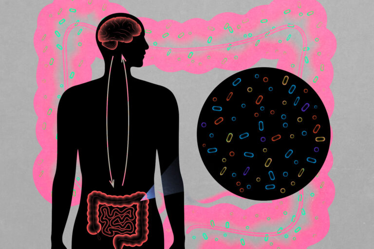 Μικροβίωμα του εντέρου: Είναι το έντερο ο δεύτερος εγκέφαλος μας;