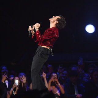 Ο Χάρι Στάιλς ανακοίνωσε παγκόσμια περιοδεία το 2026