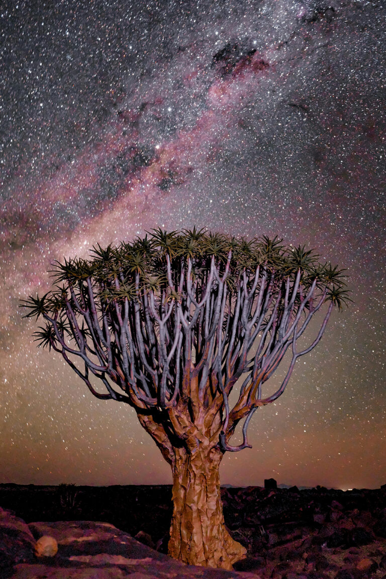 Namib Desert