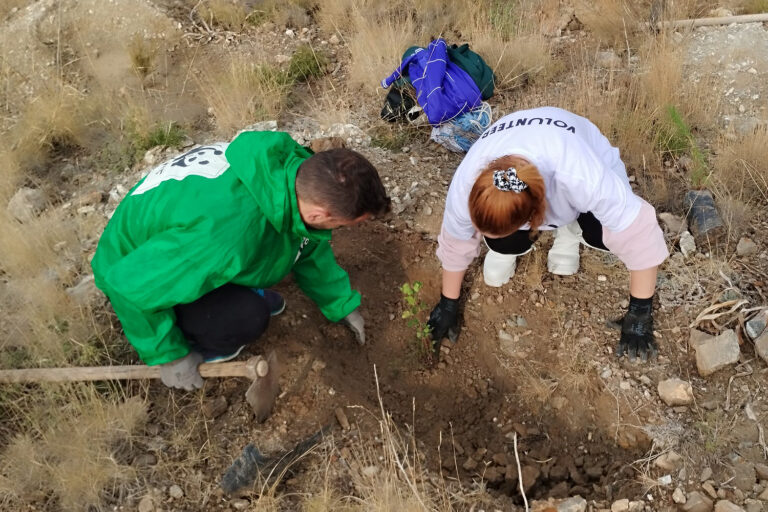 wwf φύτευση δέντρου Σούνιο