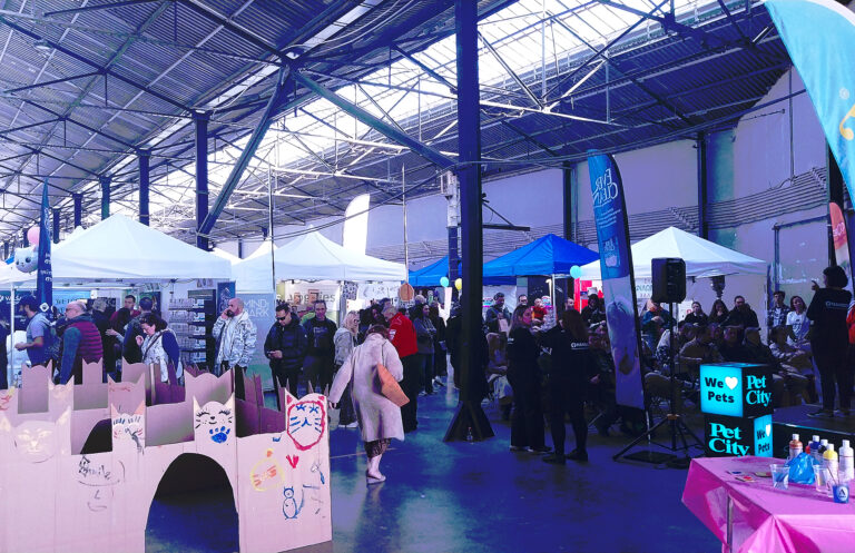 cat festival athens