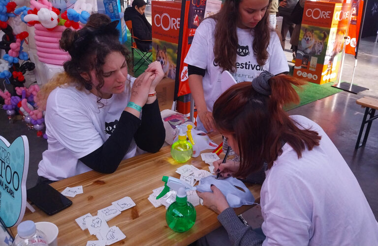 cat festival athens