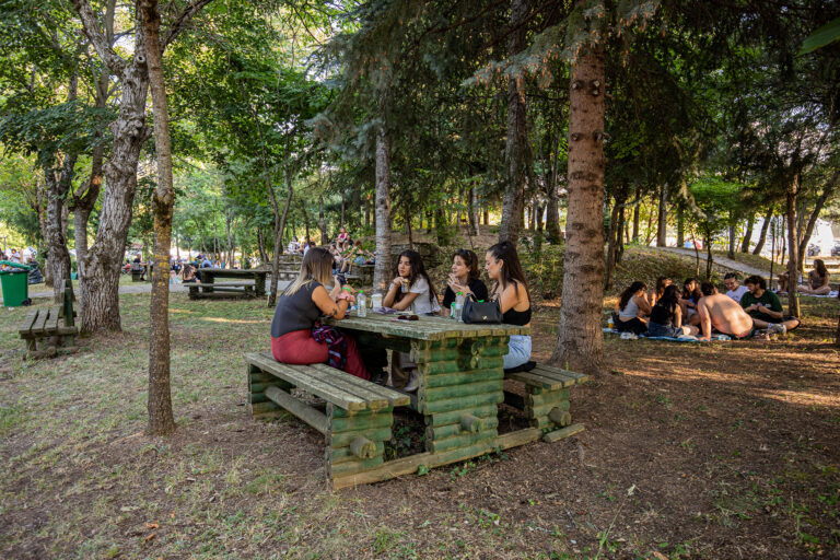 Plastiras Lake Festival 2025