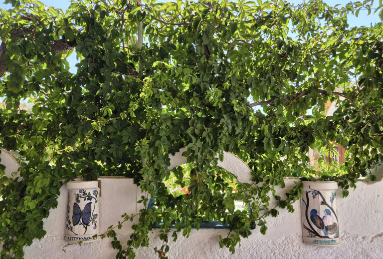 Καφεγλυκατζίδικο Μαρίνος