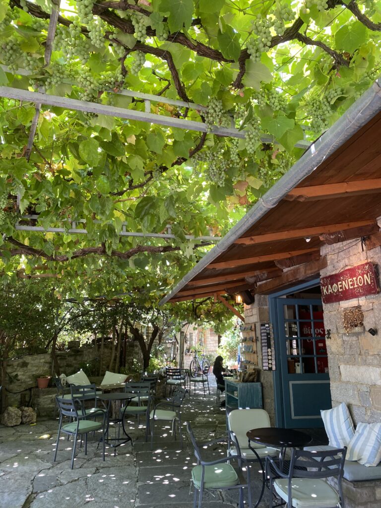 Γεωπάρκο Βίκου–Αώου